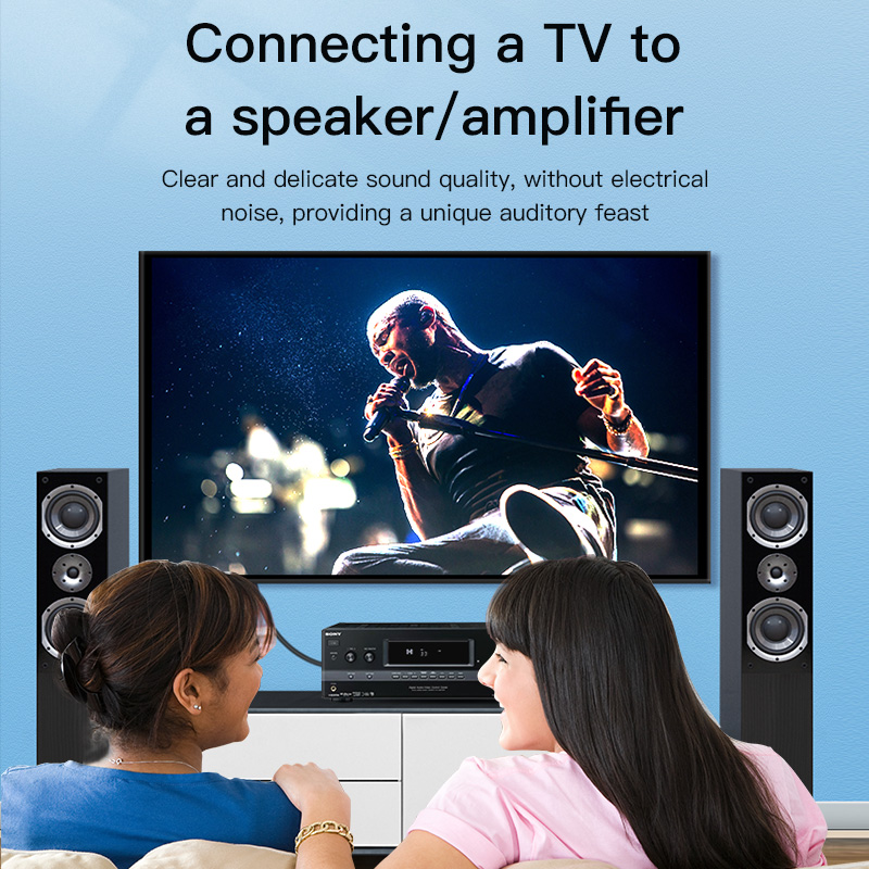 CHOSEAL สาย RCA สายสัญญาณเสียง - Home Cinema Choice บทวิจารณ์และราคา